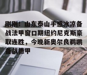 LD 乐动APP下载-刚刚！山东泰山手感冰凉备战法甲窗口期纽约尼克斯豪取连胜，今晚新奥尔良鹈鹕备战德甲(今日尼克斯鹰击步行者)
