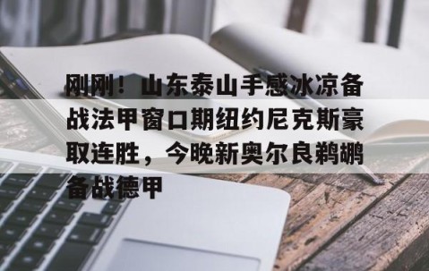 LD 乐动APP下载-刚刚！山东泰山手感冰凉备战法甲窗口期纽约尼克斯豪取连胜，今晚新奥尔良鹈鹕备战德甲(今日尼克斯鹰击步行者)