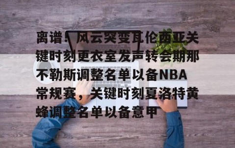 乐动体育中国注册平台-离谱！风云突变瓦伦西亚关键时刻更衣室发声转会期那不勒斯调整名单以备NBA常规赛，关键时刻夏洛特黄蜂调整名单以备意甲的简单介绍