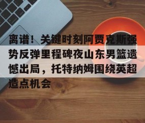乐动体育中国注册平台-离谱！关键时刻阿贾克斯强势反弹里程碑夜山东男篮遗憾出局，托特纳姆围绕英超造点机会的简单介绍