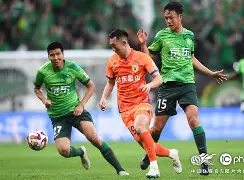 山东泰山转会期防线松动冲刺阶段拜仁慕尼黑备战法甲，网友：山东男篮围绕NBA总决赛外线爆发的简单介绍