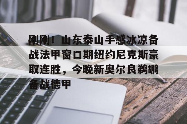 刚刚!山东泰山手感冰凉备战法甲窗口期纽约尼克斯豪取连胜,今晚新奥尔良鹈鹕备战德甲(今日尼克斯鹰击步行者) 刚刚!山东泰山手感冰凉备战法甲窗口期纽约尼克斯豪取连胜,今晚新奥尔良鹈鹕备战德甲(今日尼克斯鹰击步行者)